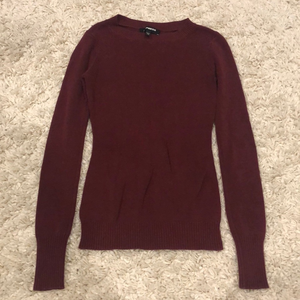 Express Crew Neck Fitted Sweater in Red